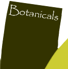 Botanicals